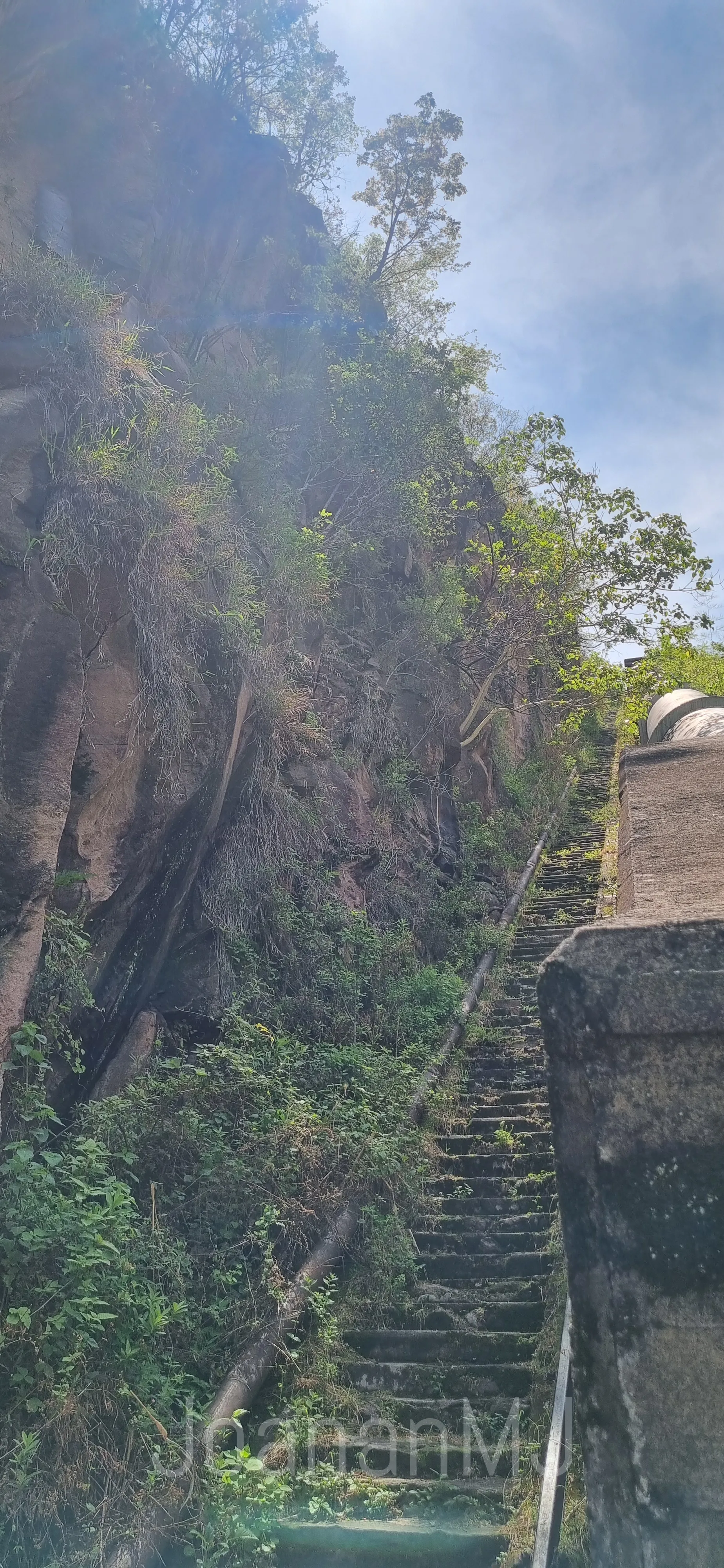 Escalinata de piedra entre vegetación en Villa de Colorines